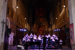43-avce-la-prestation-des-Petits-Chanteurs-de-la-Trinite
