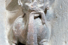 101-bestiaire-dans-le-cloitre