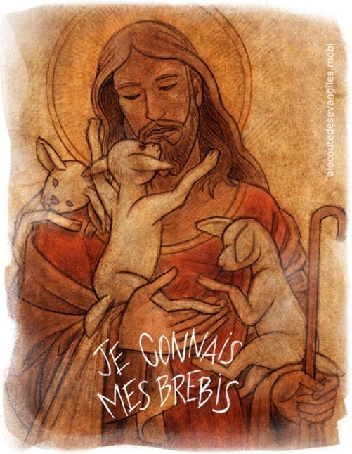 L’attribut alt de cette image est vide, son nom de fichier est bon_pasteur-1.jpg.